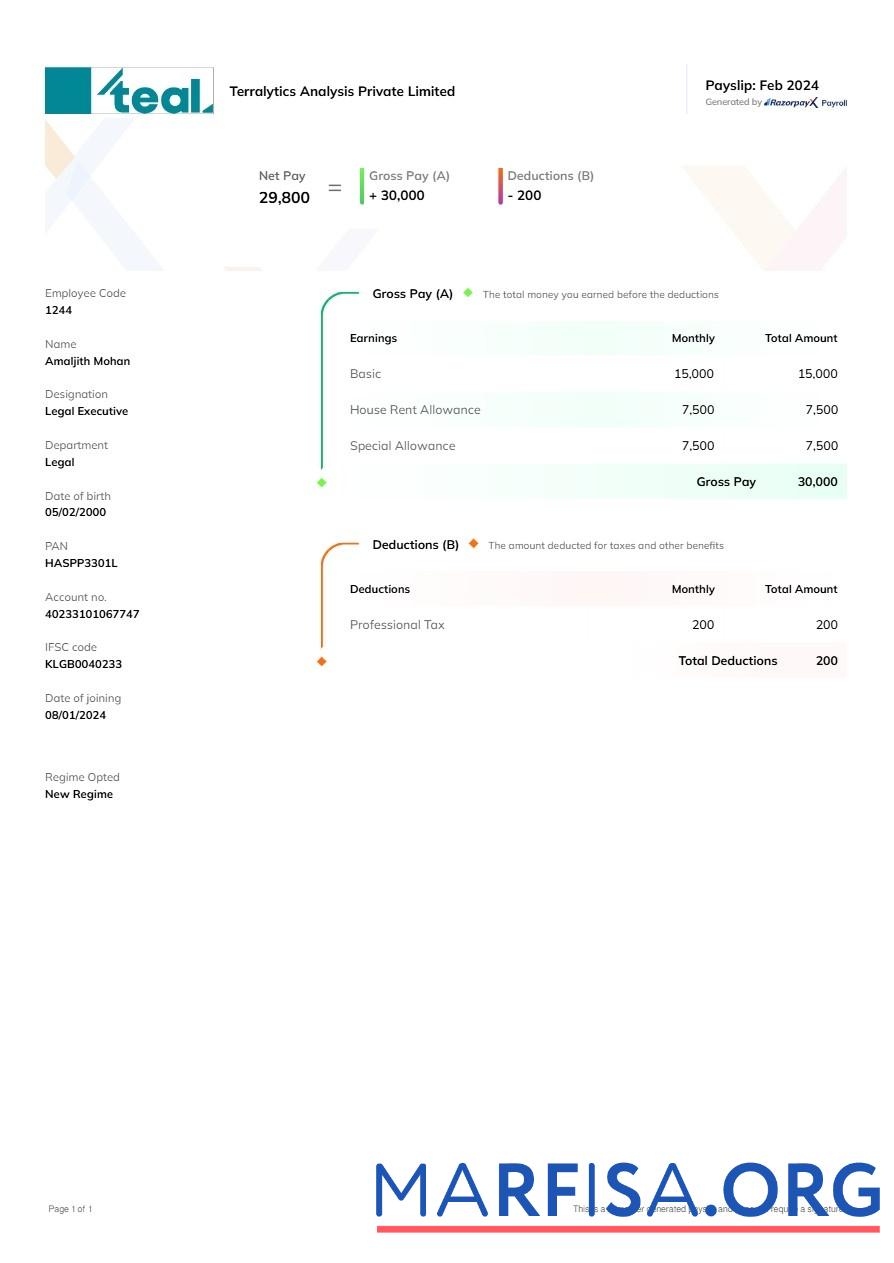 Realistic Terralytics Analysis payslip sample